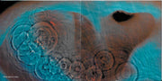 Image 2: Pink Floyd – Meddle CD | Relix