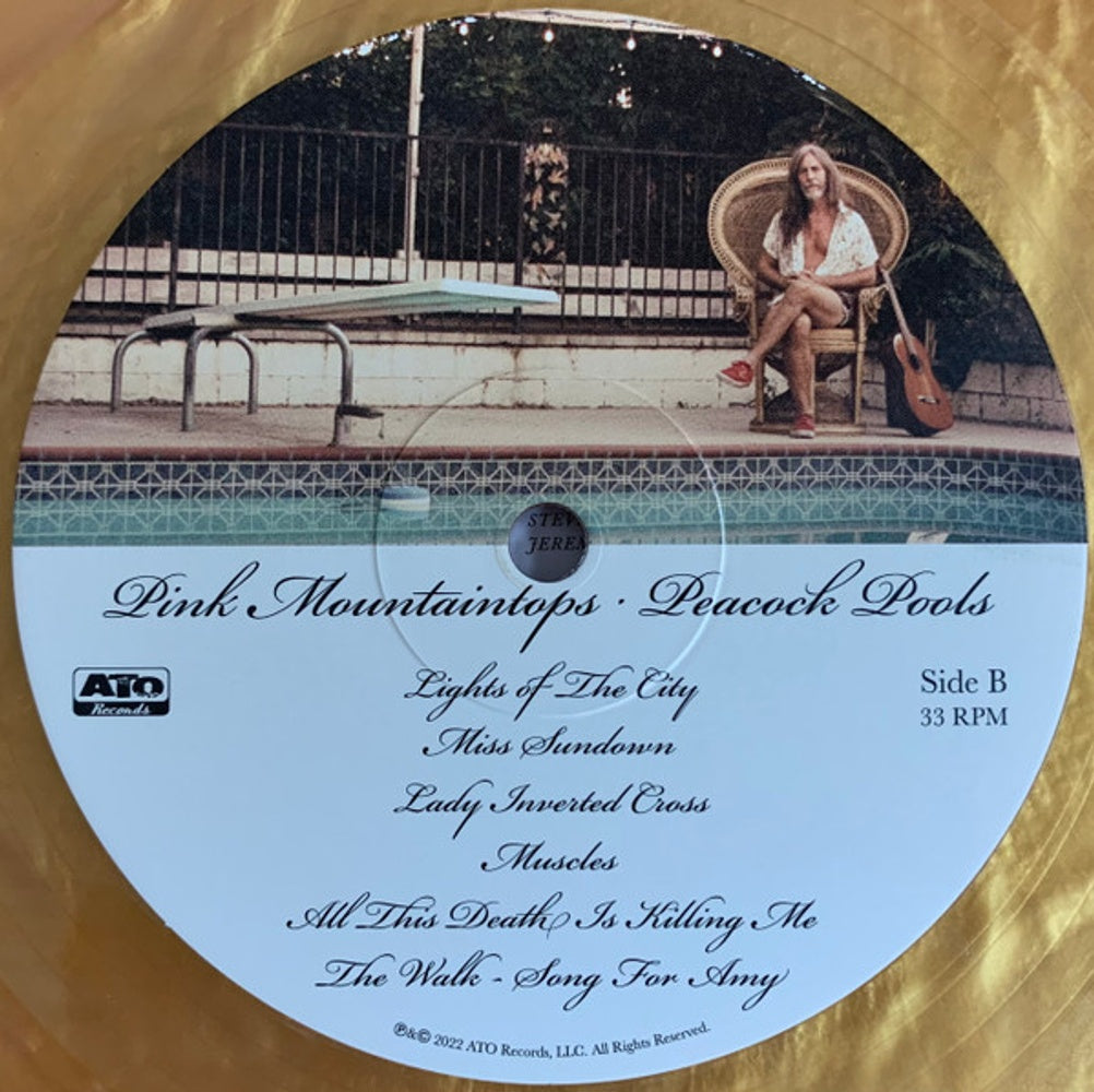 Image 2: Pink Mountaintops – Peacock Pools Vinyl LP | Relix
