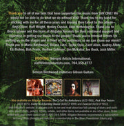 Image 2: Selwyn Birchwood – Electric Swamp Funkin' Blues CD | Relix