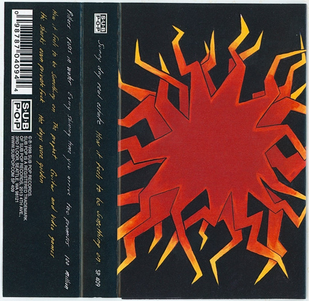 Image 2: Sunny Day Real Estate – How It Feels To Be Something On Cassette | Relix