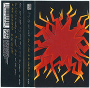Image 2: Sunny Day Real Estate – How It Feels To Be Something On Cassette | Relix