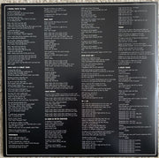 Image 2: The Lemon Twigs – Do Hollywood Vinyl LP | Relix