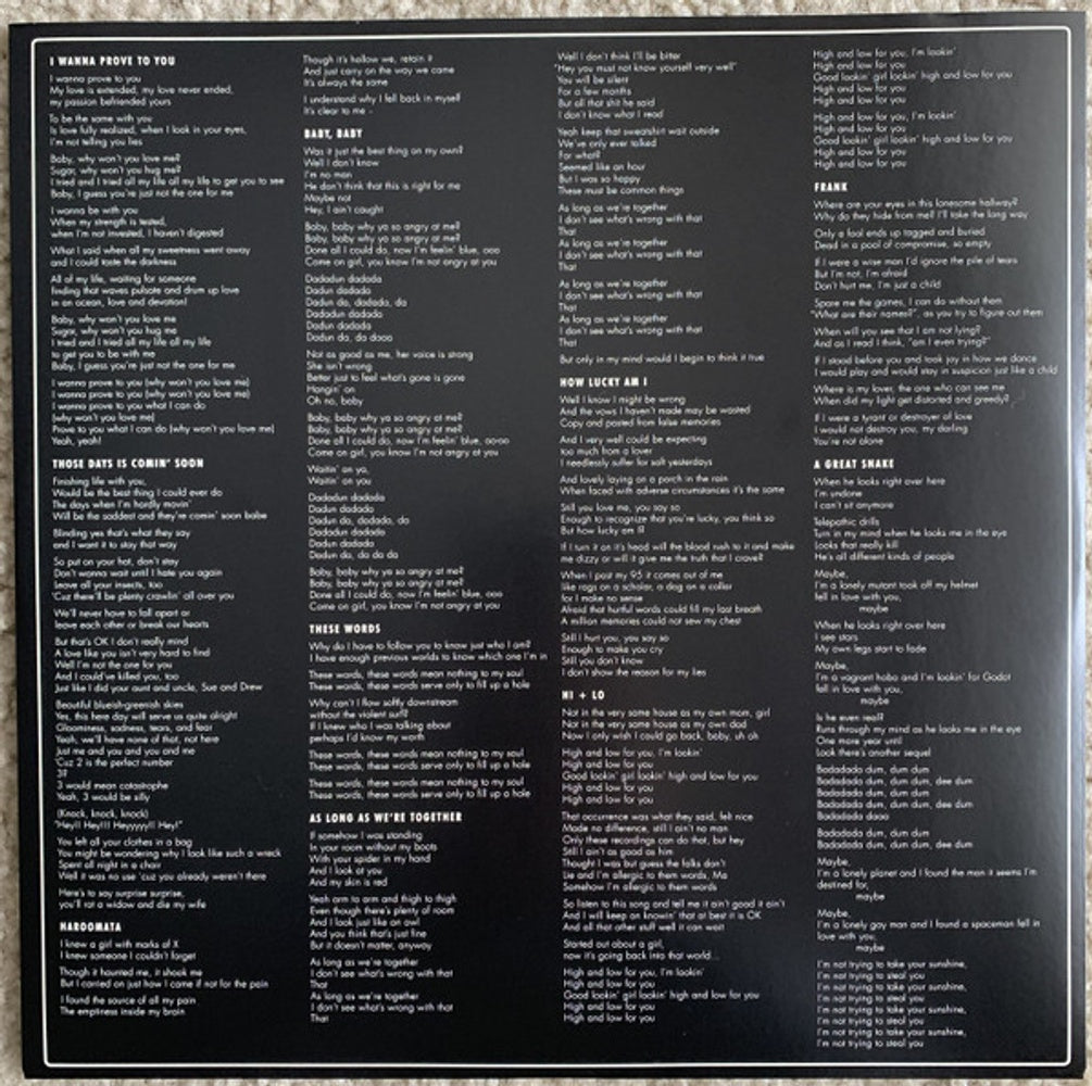 Image 2: The Lemon Twigs – Do Hollywood Vinyl LP | Relix