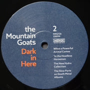 Image 2: The Mountain Goats – Dark In Here Vinyl LP | Relix