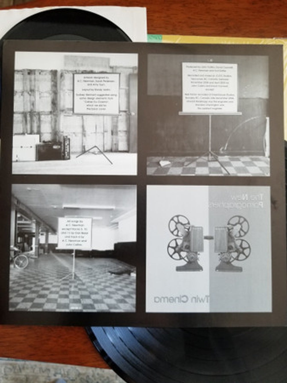 Image 2: The New Pornographers – Twin Cinema Vinyl LP | Relix