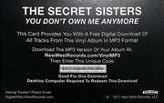 Image 2: The Secret Sisters – You Don't Own Me Anymore Vinyl LP | Relix