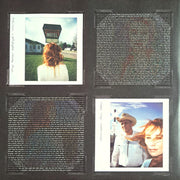 Image 2: Tori Amos – Scarlet’s Walk (2-LP Vinyl) Vinyl LP | Relix
