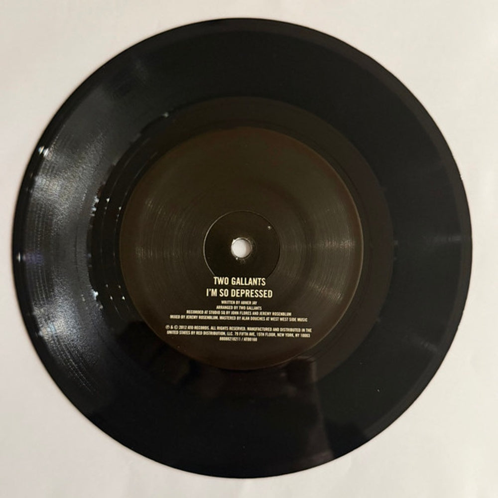 Image 2: Two Gallants – The Bloom and The Blight Vinyl LP | Relix