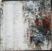 Image 2: Warpaint – The Fool Vinyl LP | Relix
