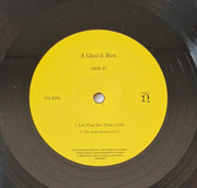 Image 2: Wilco – A Ghost Is Born (Deluxe Edition) - Vinyl LP | Relix