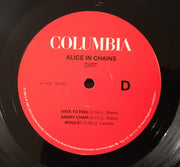 Image 3: Alice In Chains – Dirt Vinyl LP | Relix