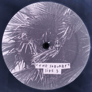 Image 3: Arcade Fire – The Suburbs Vinyl LP | Relix