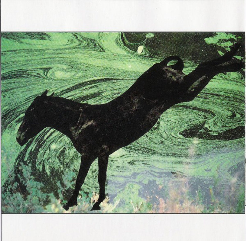 Image 3: Art Of Noise – Ambient Collection CD | Relix