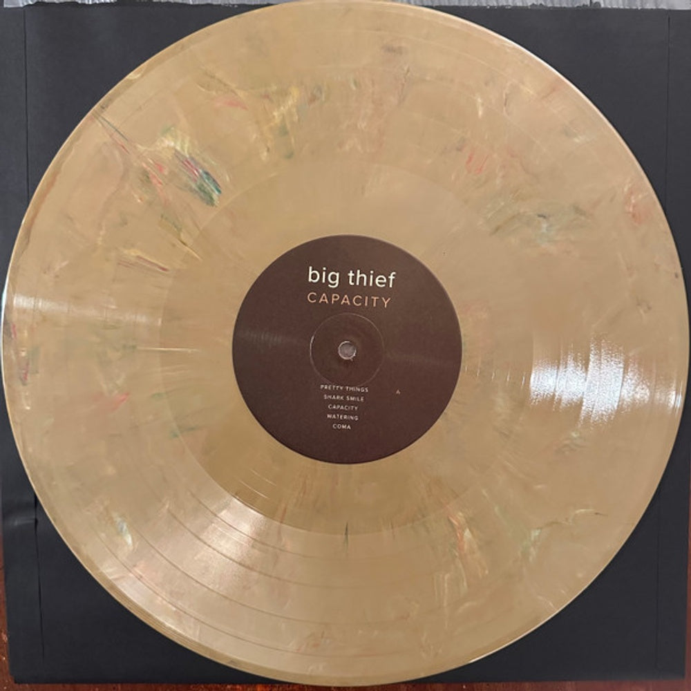 Image 3: Big Thief – Capacity Vinyl LP | Relix
