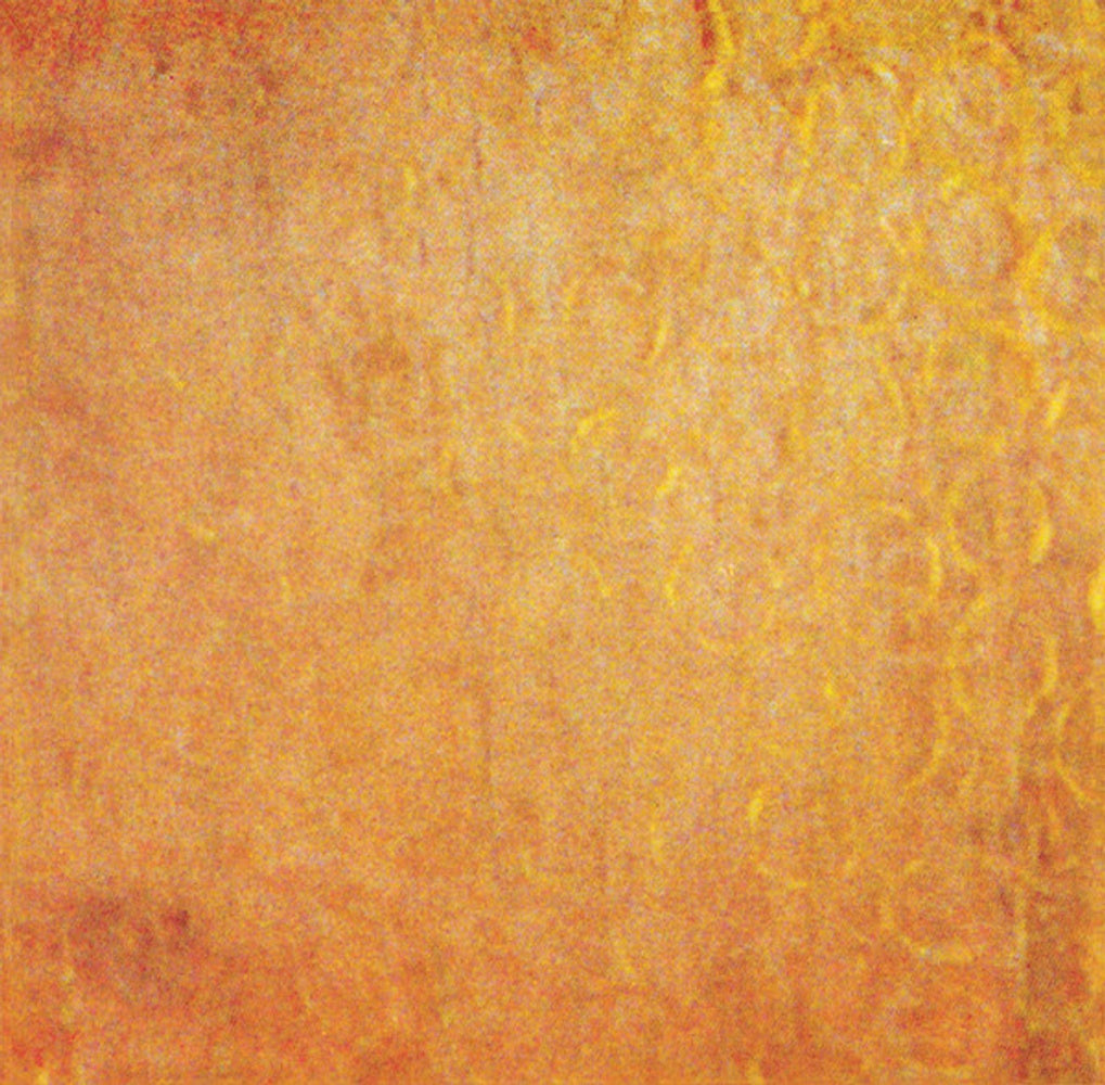 Image 3: Dead Can Dance – Aion Vinyl LP | Relix