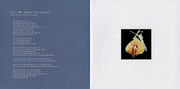 Image 3: Dead Can Dance – Into The Labyrinth (Import CD) CD | Relix