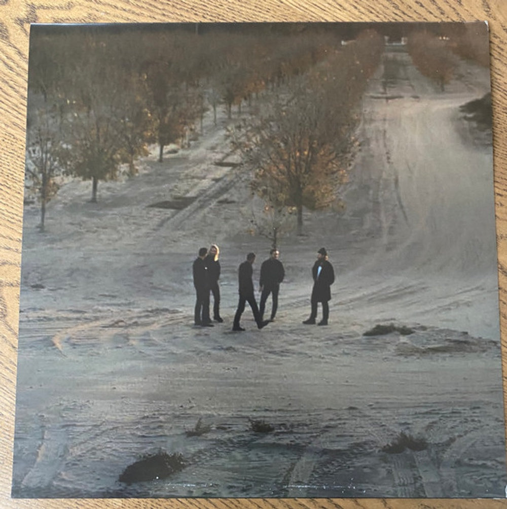 Image 3: Delta Spirit – What Is There Vinyl LP | Relix