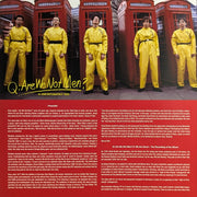Image 3: Devo – Q: Are We Not Men (Brick & Mortar Exclusive, Hifi LP Vinyl) Vinyl LP | Relix