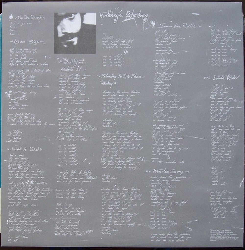 Image 3: Jane's Addiction – Nothing's Shocking (180 Gram LP Vinyl) Vinyl LP | Relix