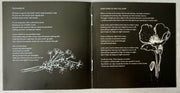 Image 3: Julien Baker – Turn Out The Lights CD | Relix
