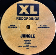 Image 3: Jungle – For Ever Vinyl LP | Relix