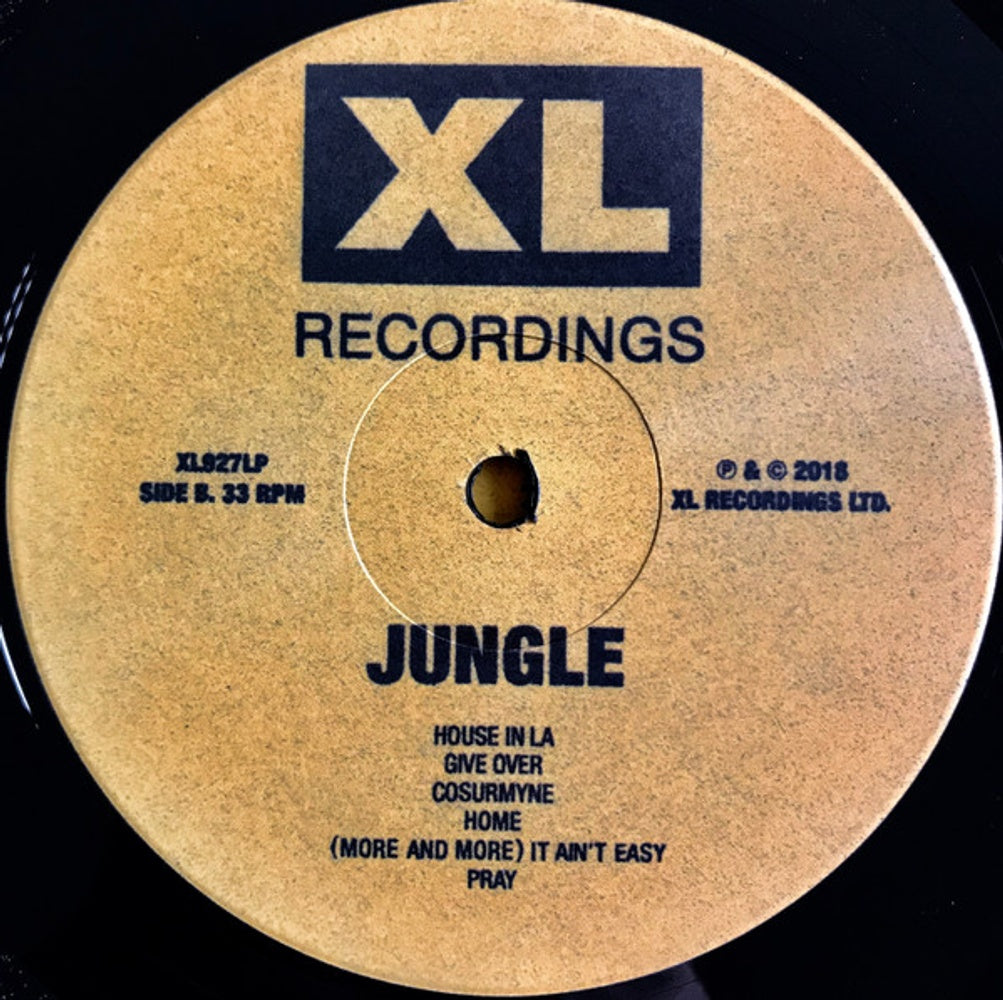 Image 3: Jungle – For Ever Vinyl LP | Relix