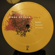 Image 3: Kings Of Leon – Because Of The Times (Reissue, Remastered, 180 Gram LP Vinyl) Vinyl LP | Relix