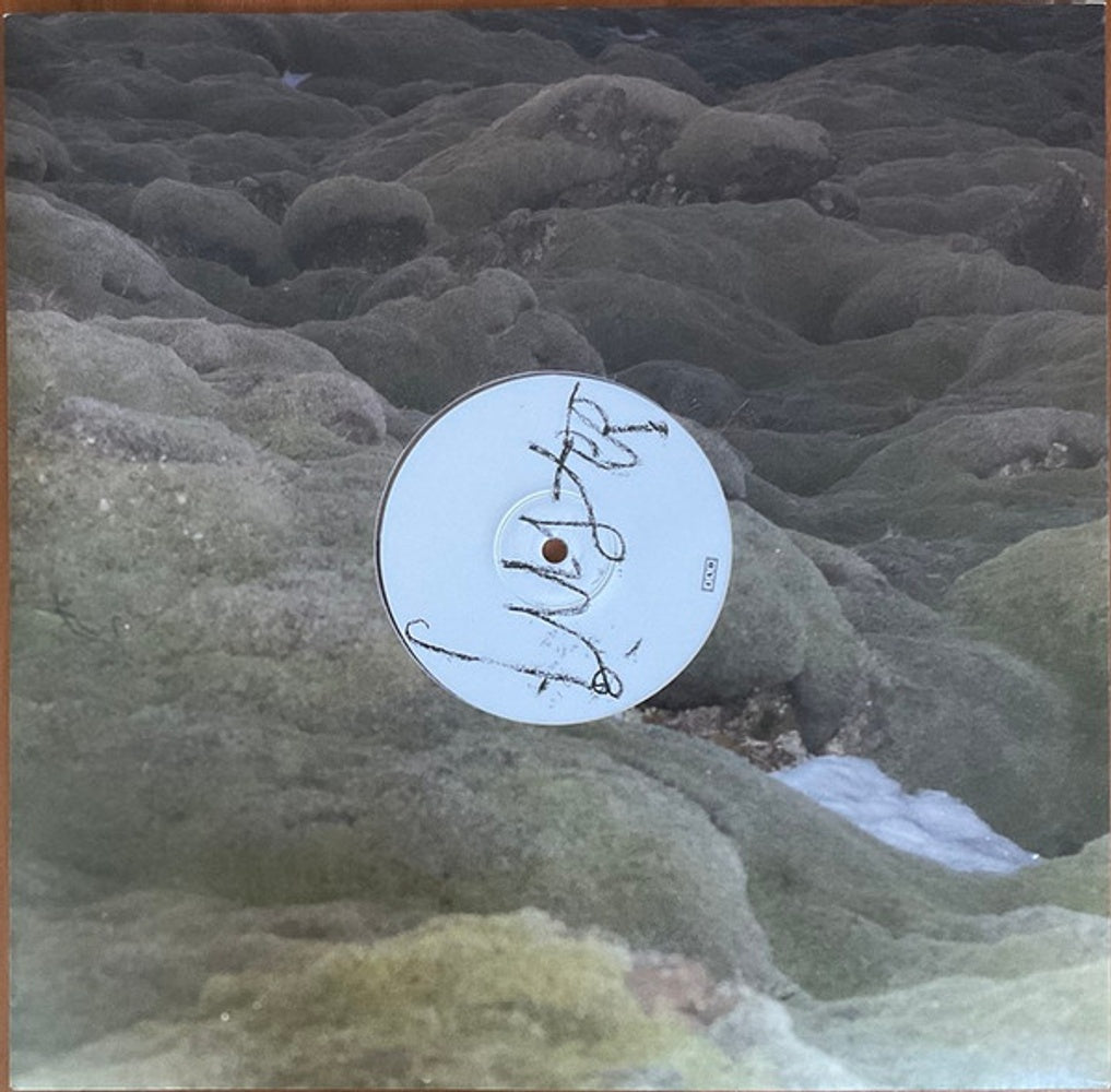 Image 3: Maria Somerville – Luster (Clear LP Vinyl) Vinyl LP | Relix