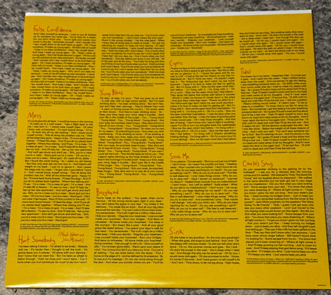 Image 3: Noah Kahan – Busyhead Vinyl LP | Relix