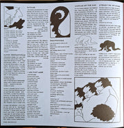 Image 3: Parquet Courts – Human Performance Vinyl LP | Relix