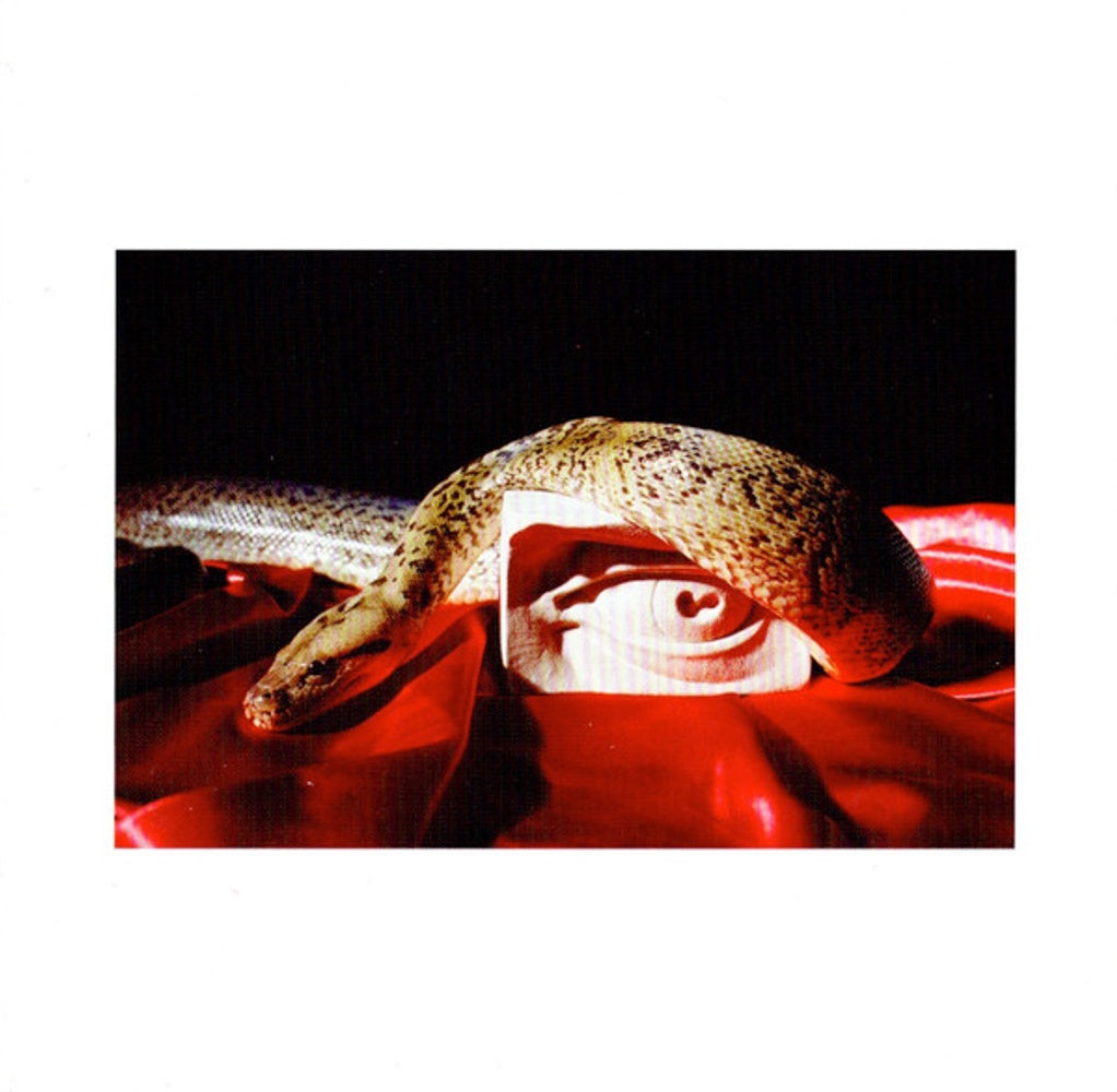 Image 3: Perfume Genius – Set My Heart On Fire Immediately CD | Relix