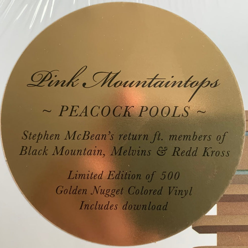Image 3: Pink Mountaintops – Peacock Pools Vinyl LP | Relix