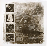 Image 3: Pixies – Doolittle Vinyl LP | Relix