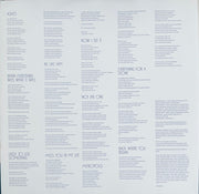 Image 3: The Belle Brigade – Just Because Vinyl LP | Relix