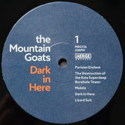 Image 3: The Mountain Goats – Dark In Here Vinyl LP | Relix