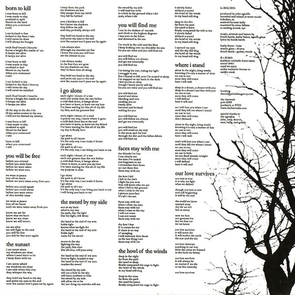 Image 3: The Thermals – Desperate Ground Vinyl LP | Relix