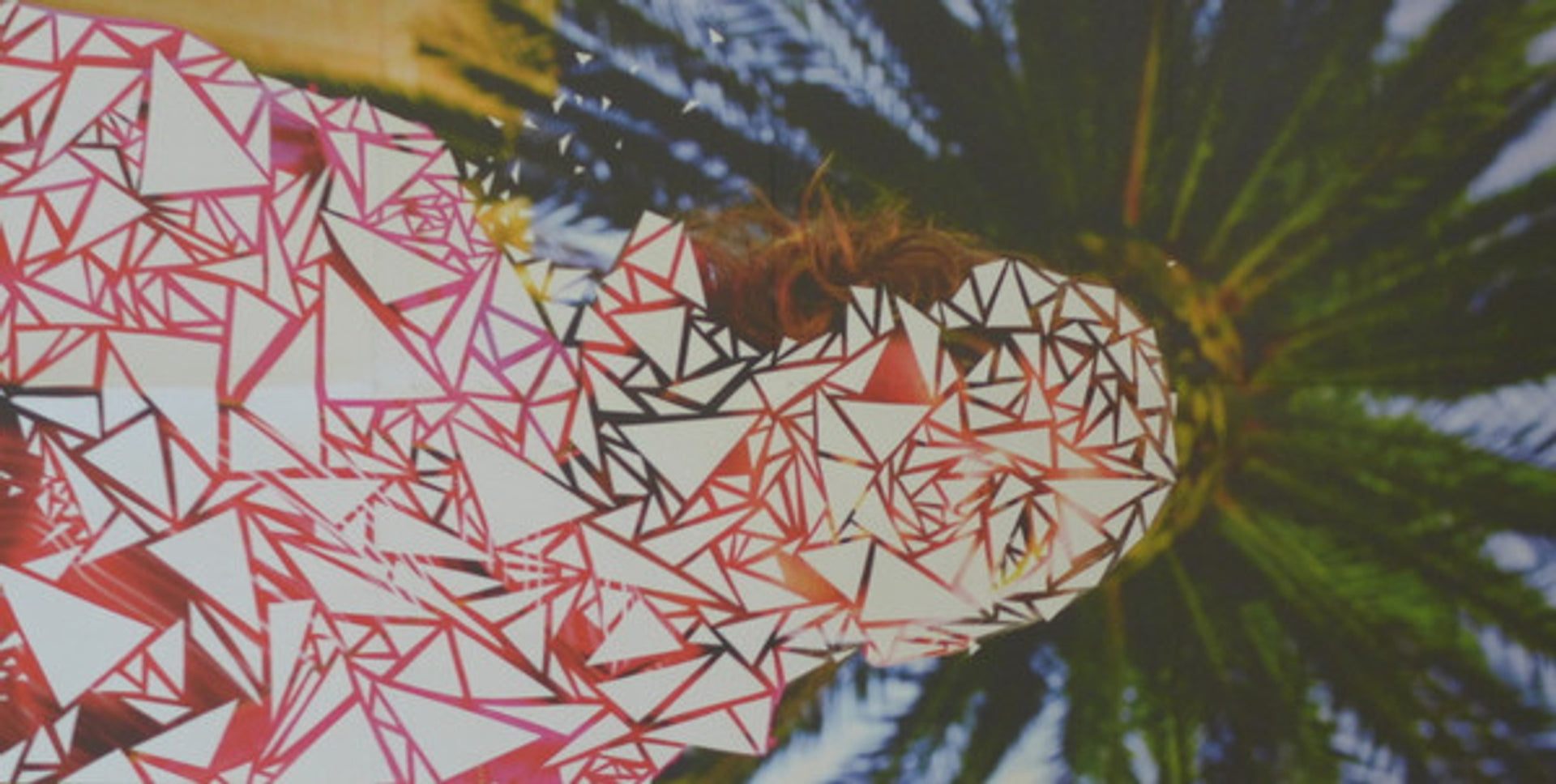 Image 3: Tune-Yards – W H O K I L L CD | Relix