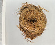Image 3: Wilco – A Ghost Is Born (Deluxe Edition) - CD | Relix