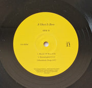 Image 3: Wilco – A Ghost Is Born (Deluxe Edition) - Vinyl LP | Relix