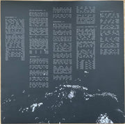 Image 4: Arcade Fire – Neon Bible Vinyl LP | Relix