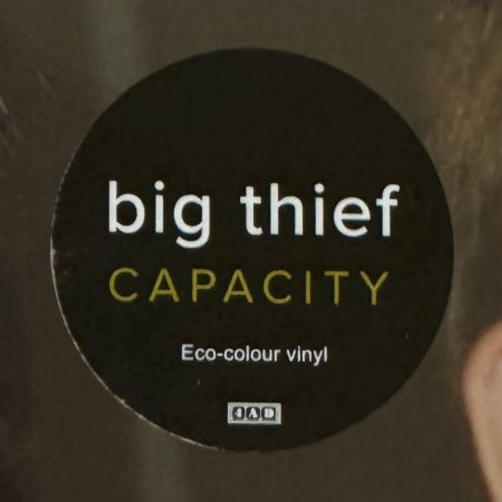 Image 4: Big Thief – Capacity Vinyl LP | Relix