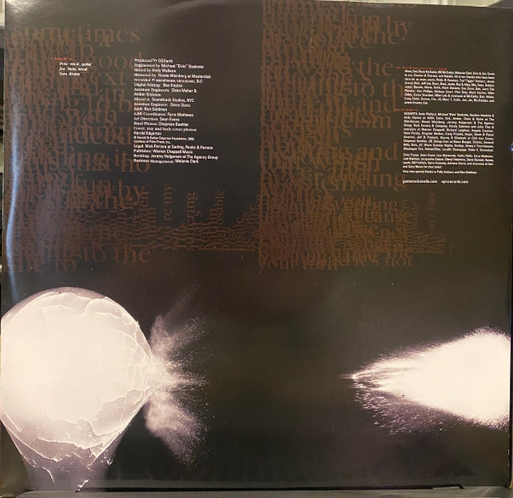 Image 4: Chevelle – Wonder What's Next Vinyl LP | Relix