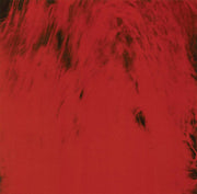 Image 4: Dead Can Dance – Spiritchaser Vinyl LP | Relix