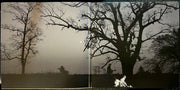 Image 4: Don Henley – Cass Country Vinyl LP | Relix