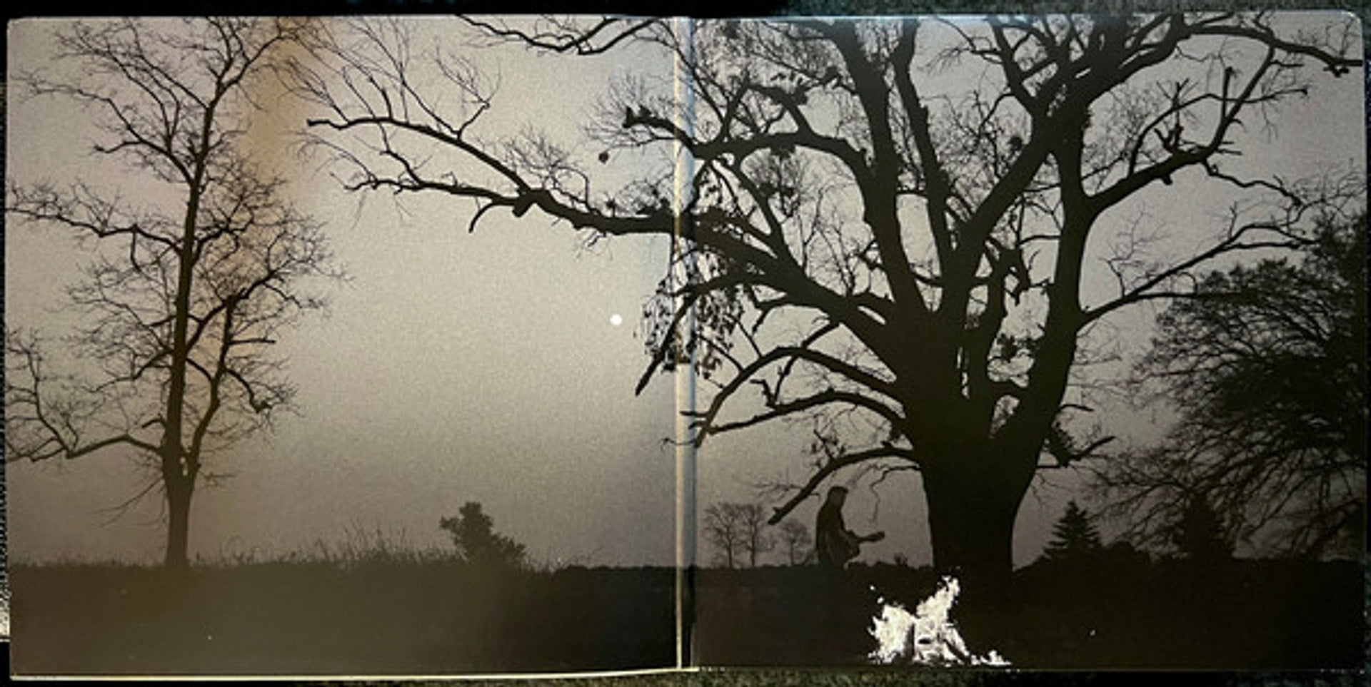 Image 4: Don Henley – Cass Country Vinyl LP | Relix