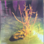 Image 4: His Name Is Alive – Home Is In Your Head Vinyl LP | Relix