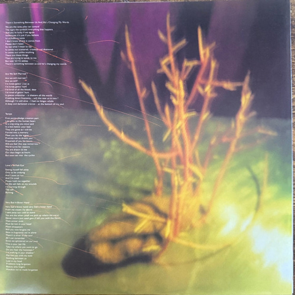 Image 4: His Name Is Alive – Home Is In Your Head Vinyl LP | Relix