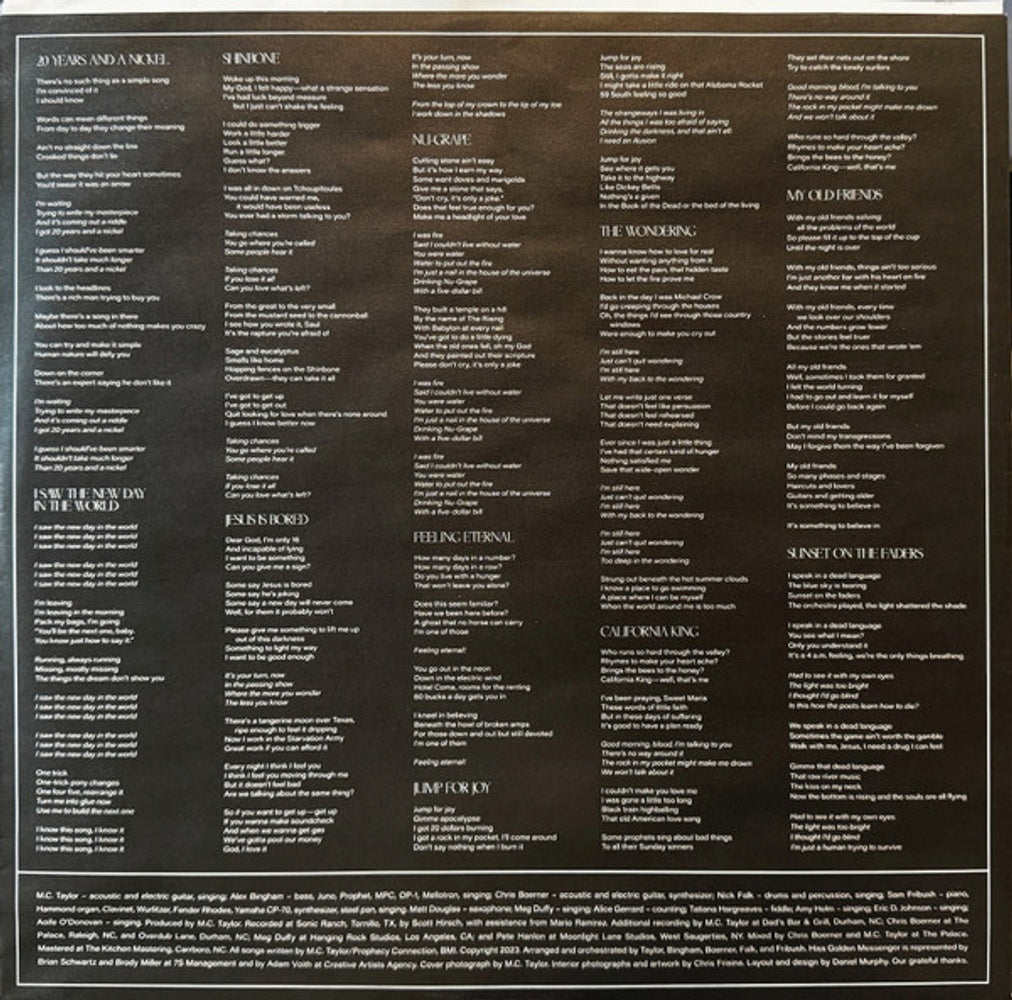 Image 4: Hiss Golden Messenger – Jump For Joy Vinyl LP | Relix
