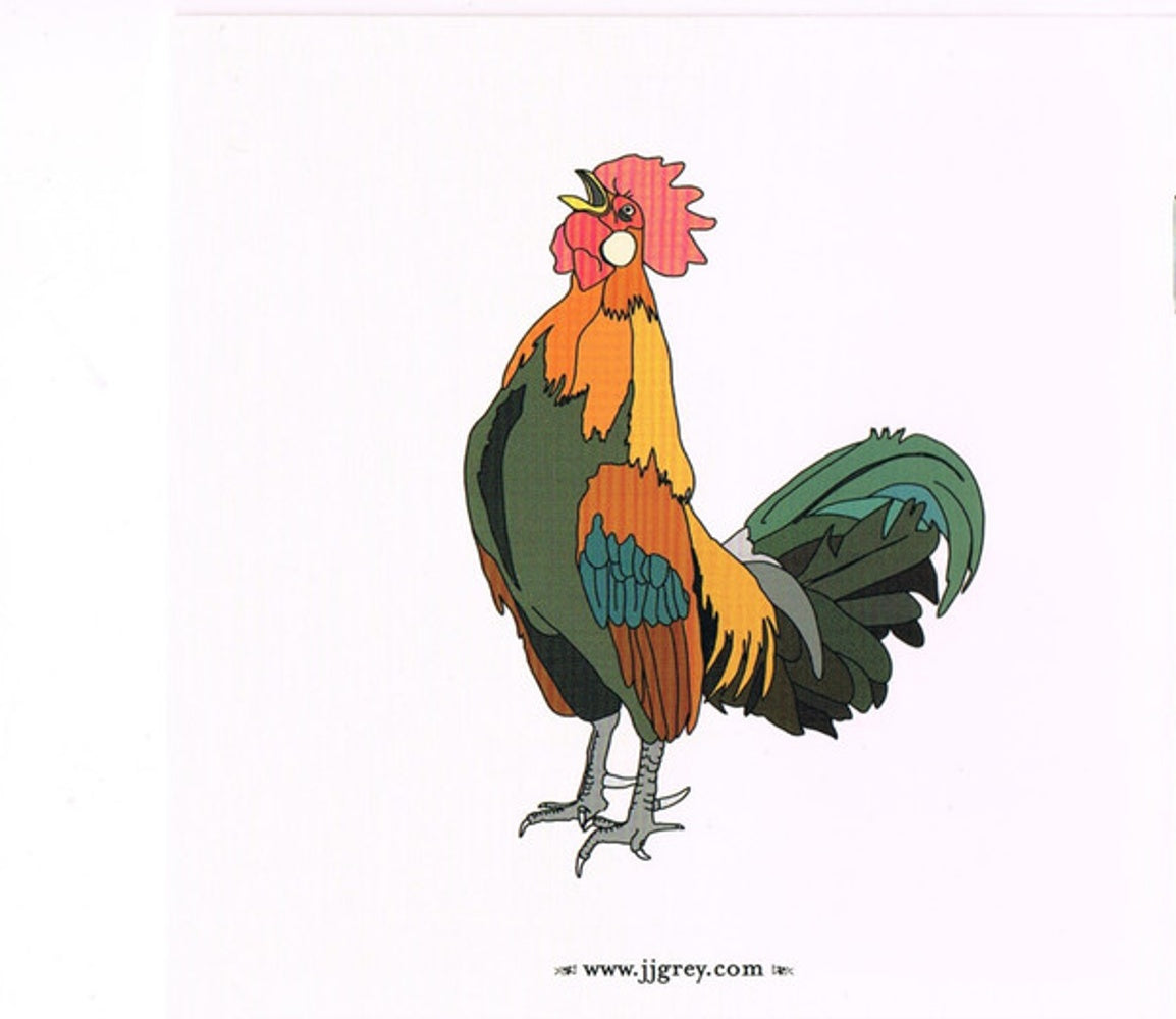 Image 4: JJ Grey & Mofro – Olustee CD | Relix