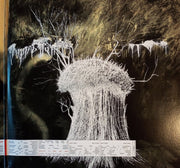 Image 4: Radiohead – Amnesiac Vinyl LP | Relix